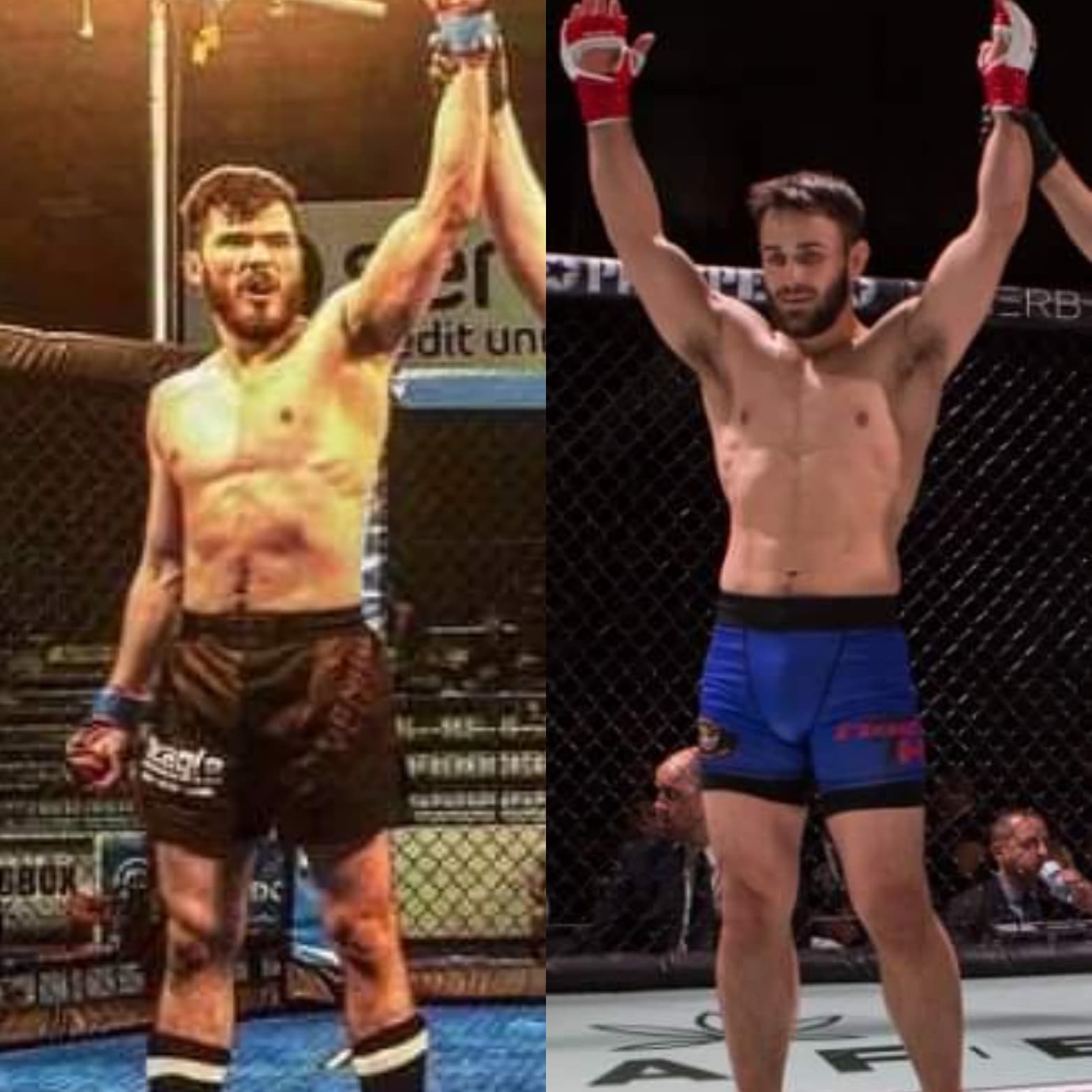 Ramil Kamilov vs Kris Allard - Absolute MMA - MM-eh